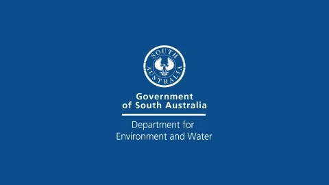 Geoimage collaborates with the South Australian Government in environmental recovery efforts following significant flood events